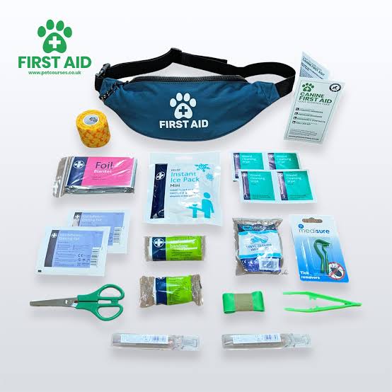 Pet First Aid Essentials And How To Stay Prepared For Emergencies In 2024