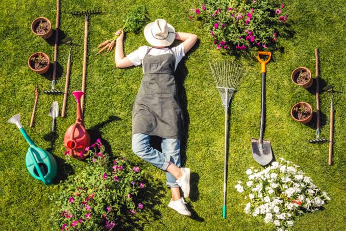 Outdoor Tasks Essential Equipment For Gardening In 2024