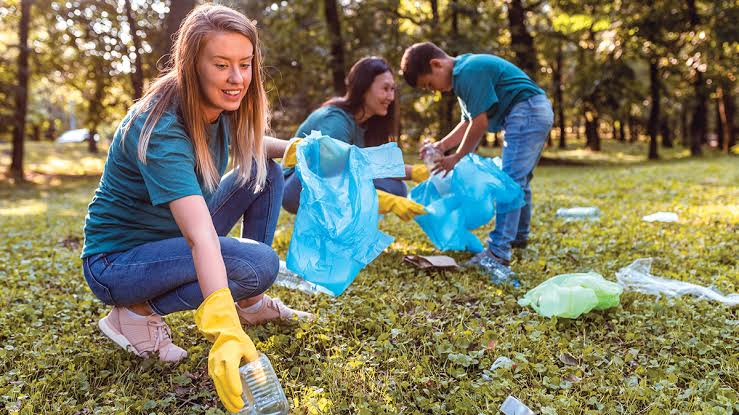 Adapting Outdoor Chores To Environmental Challenges (How To Achieve A Drought Resistant Lawn In 2024 With Water Saving Techniques)