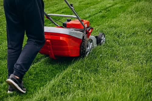 The Ultimate Guide To Eco Friendly Lawn Mowing in 2024