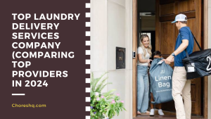 Top Laundry Delivery Services Company (Comparing Top Providers In 2024