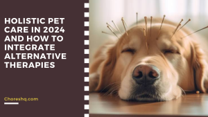 Holistic Pet Care In 2024 And How To Integrate Alternative Therapies