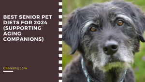 Best Senior Pet Diets For 2024 (Supporting Aging Companions)