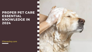 Proper Pet Care Essential Knowledge In 2024