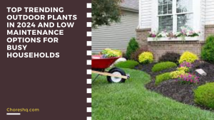 Top Trending Outdoor Plants In 2024 And Low Maintenance Options For Busy Households