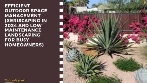 Efficient Outdoor Space Management (Xeriscaping In 2024 And Low Maintenance Landscaping For Busy Homeowners