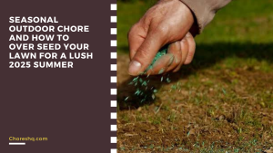 Seasonal Outdoor Chore And How To Over seed Your Lawn For A Lush 2025 Summer