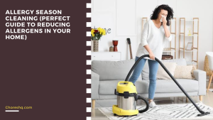 Allergy Season Cleaning (Perfect Guide To Reducing Allergens In Your Home)