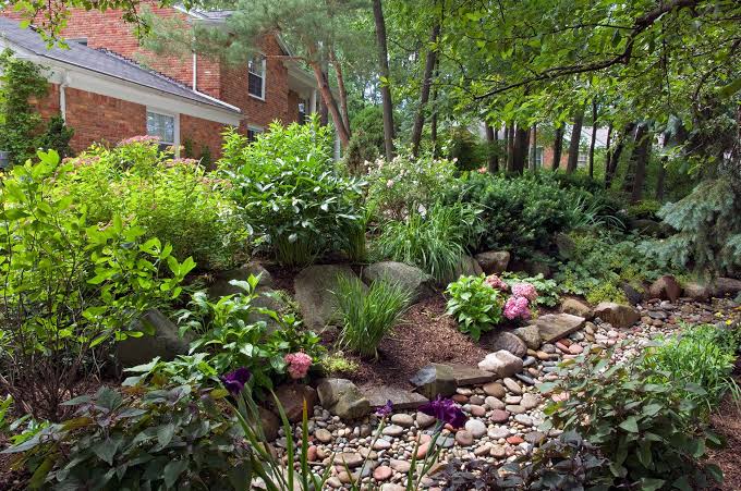 Sustainable Outdoor Projects (How To Build And Maintain A Rain Garden In 2024)